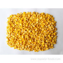 Freeze Dried Sweet Corn Whole